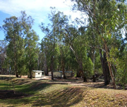Balranald Caravan Park - Accommodation Australia